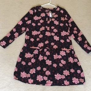 The Limited Drop Waist Dress